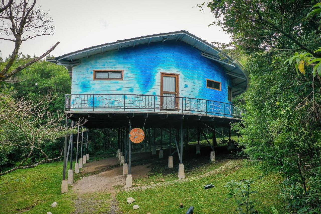 Moon Wonders Vacation House Monteverde Eksteriør billede